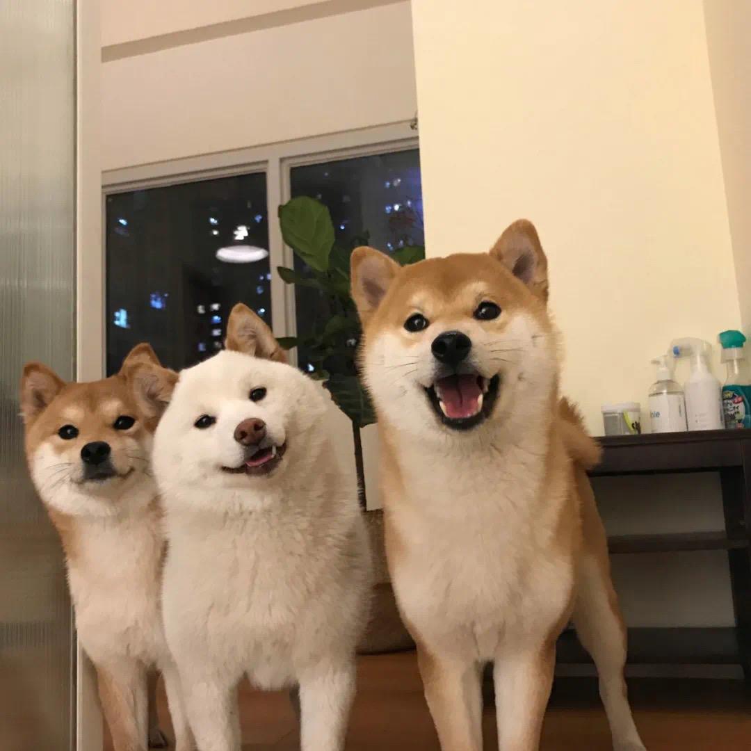 我爱吃十碗