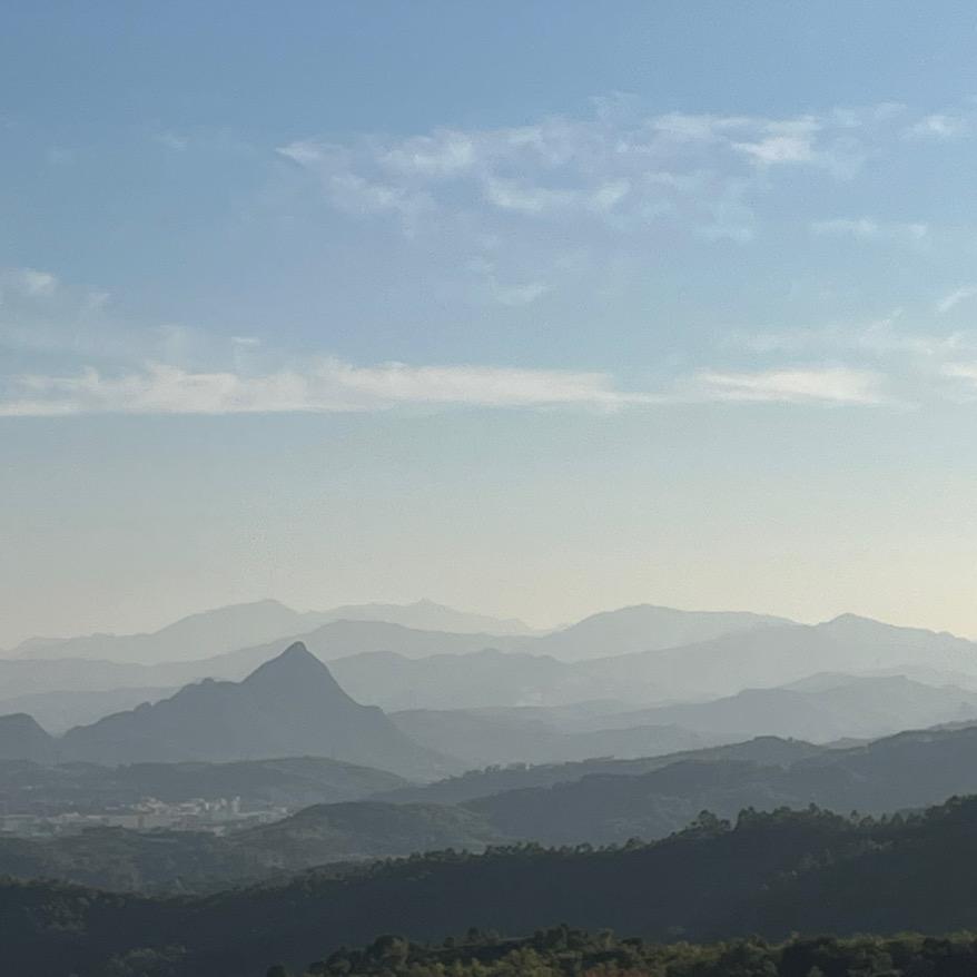 “顺其~zi然