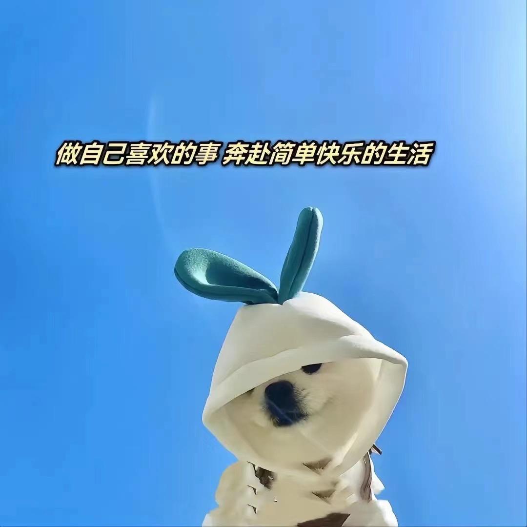 猪猪女孩。