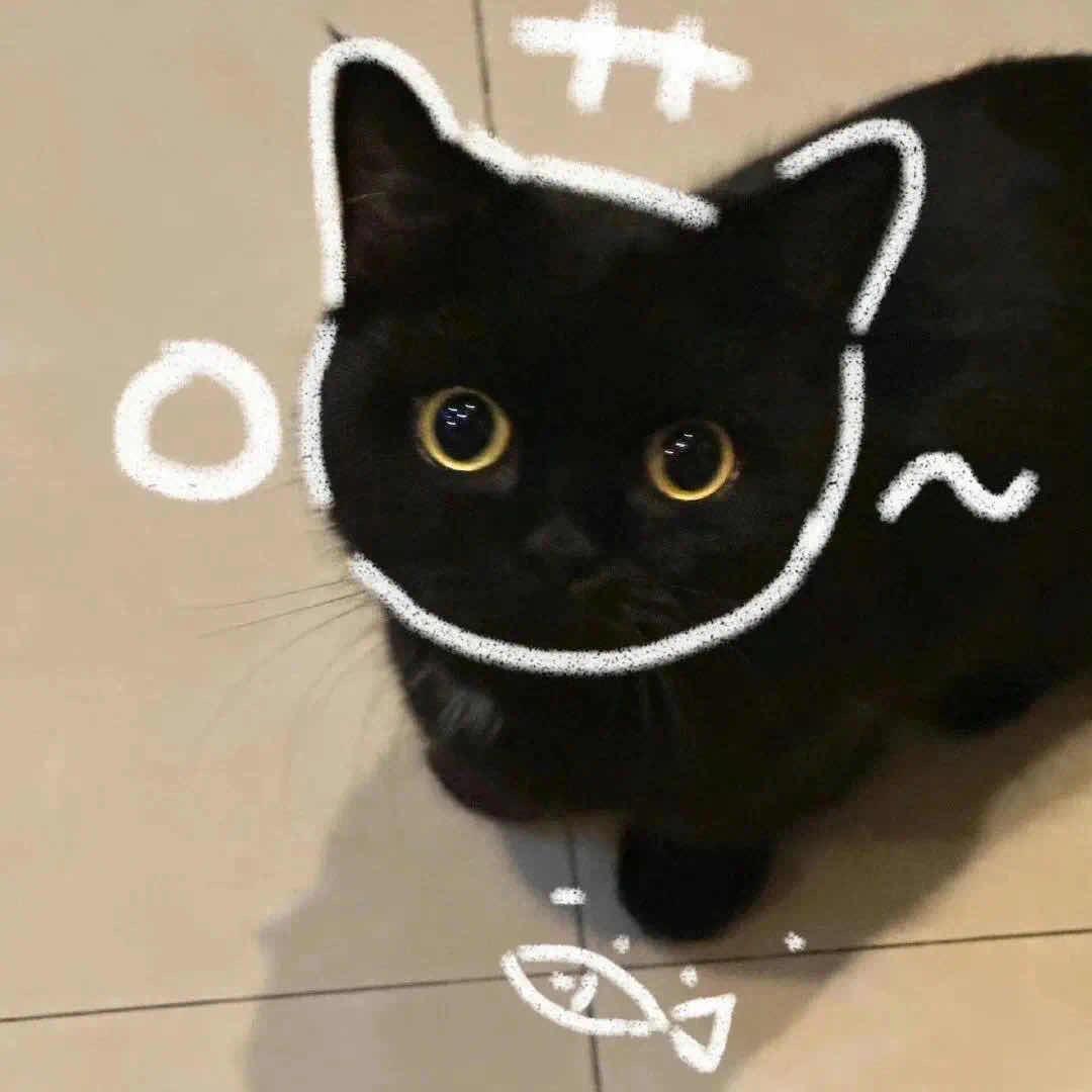 AZcns