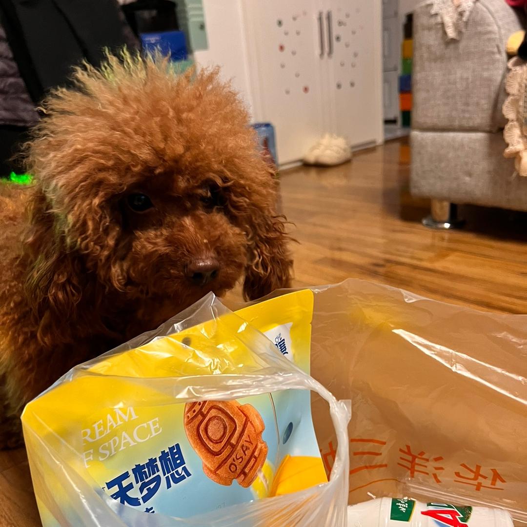 西红柿炒蛋🥚