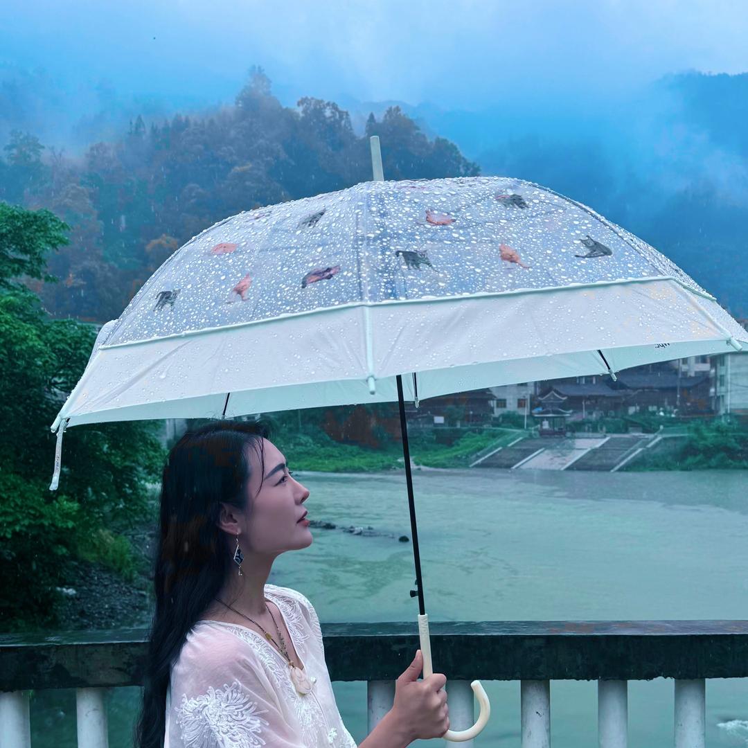 我叫张坚持