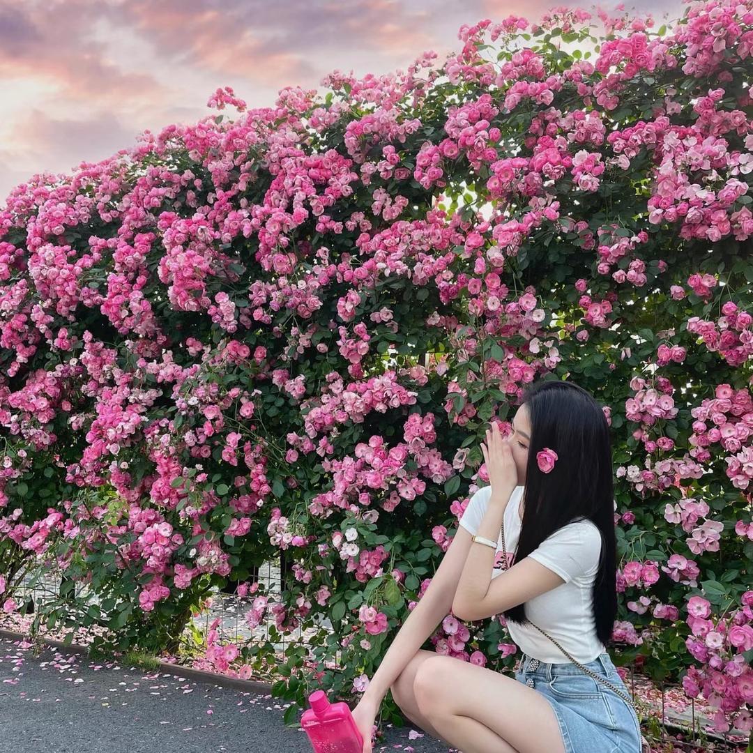 绿之缘花卉绿植