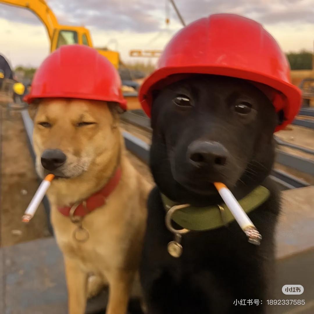 复合颗粒主理人