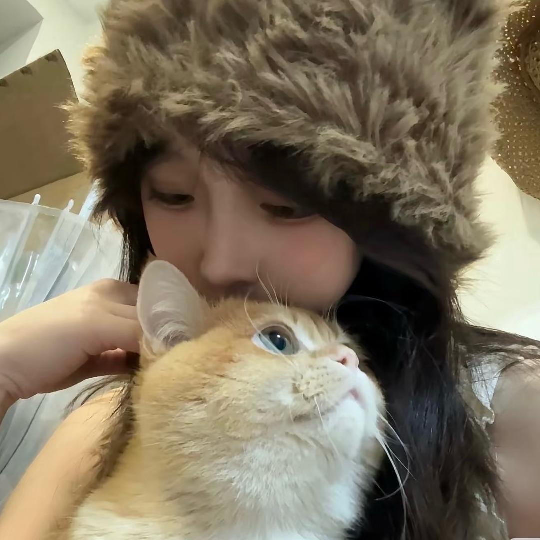 菜菜大王