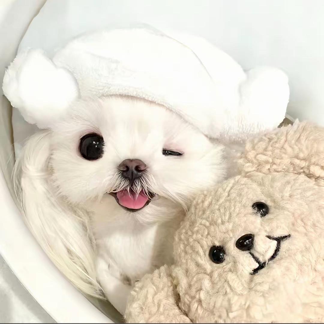 溜溜球•