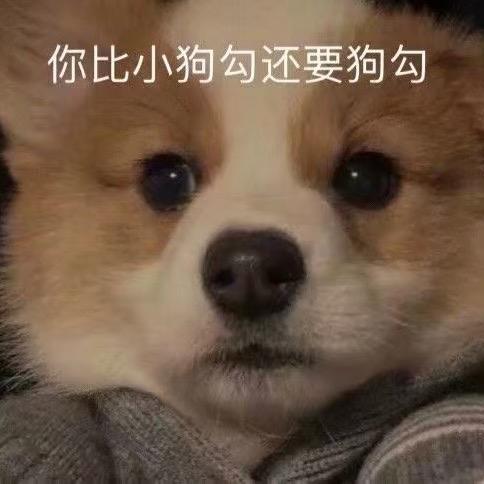 韶崽被雪藏咯
