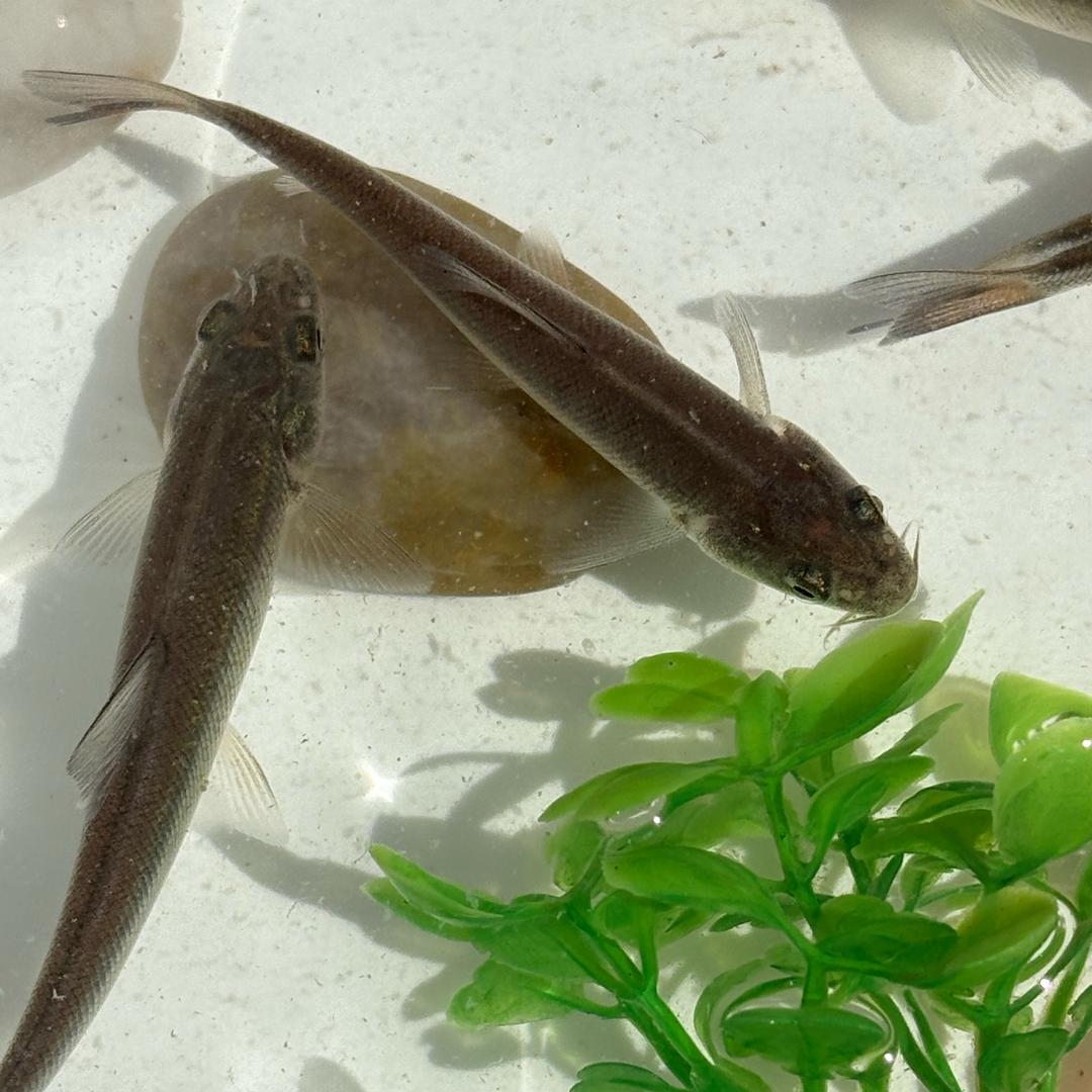 眉山海润水产
