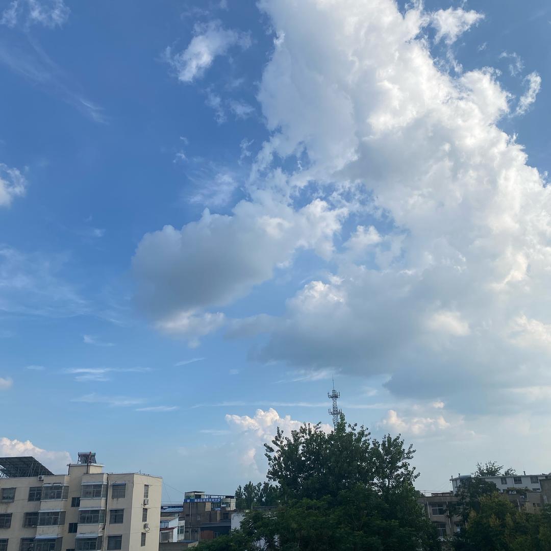 直播精选穿搭