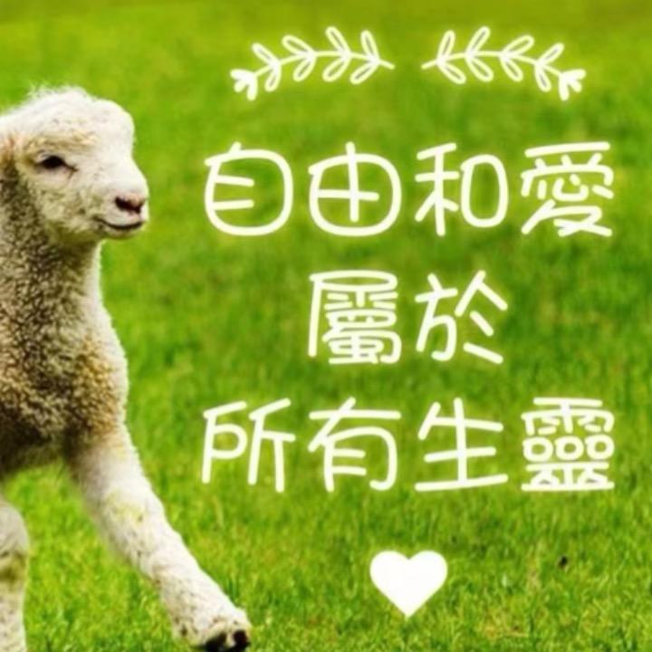 轩哥