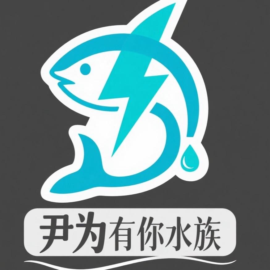 A.尹为有你.雷龙鱼工作室