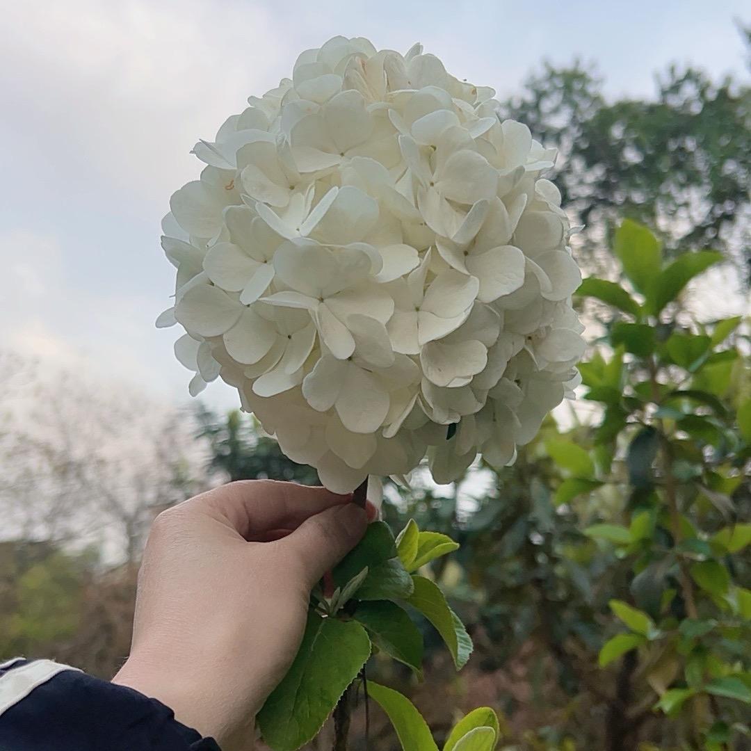 不忘初心❤️
