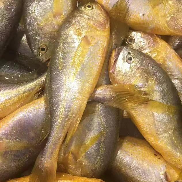 小方海鲜店