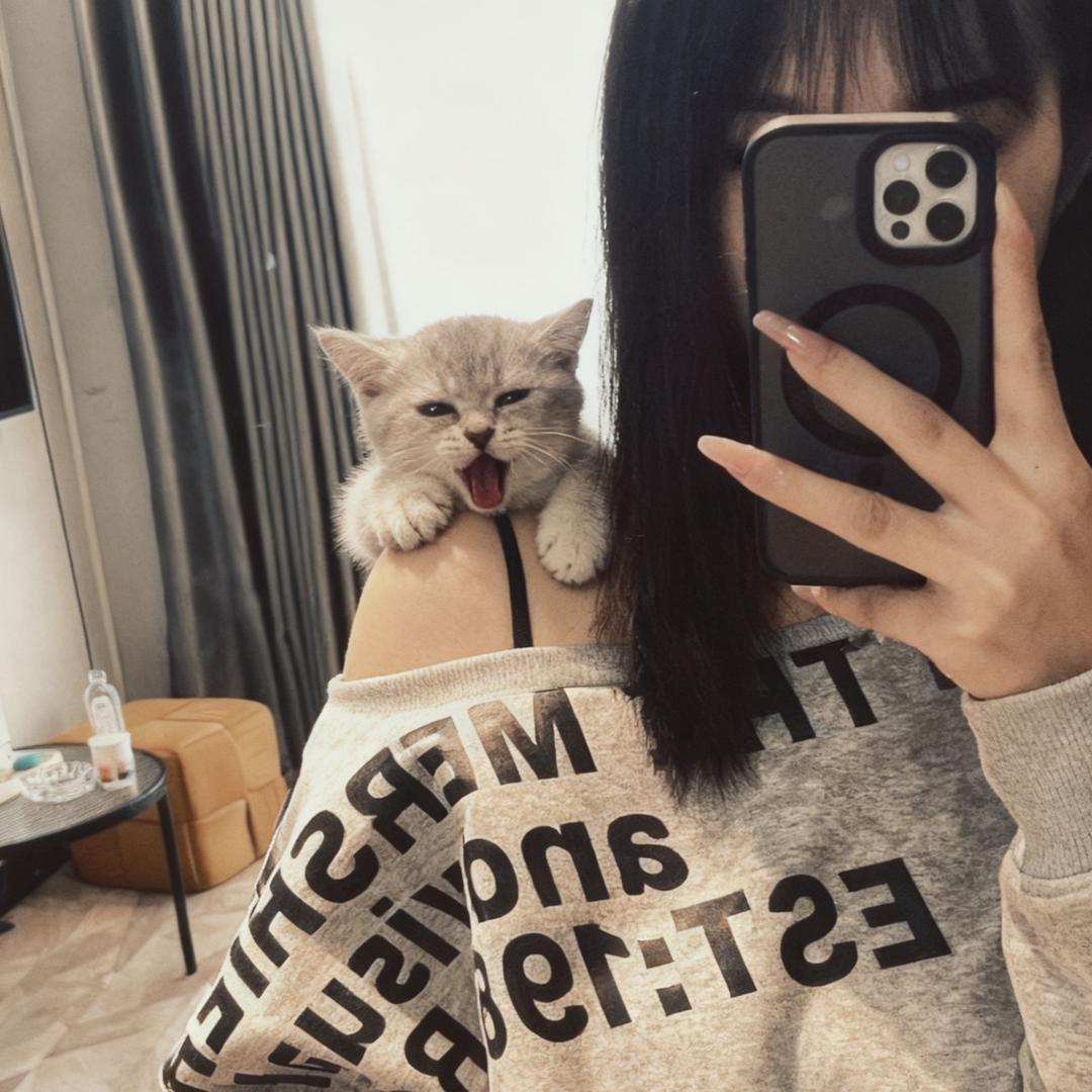 。.