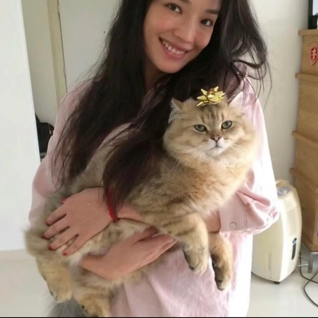 吃一颗蒸丸子