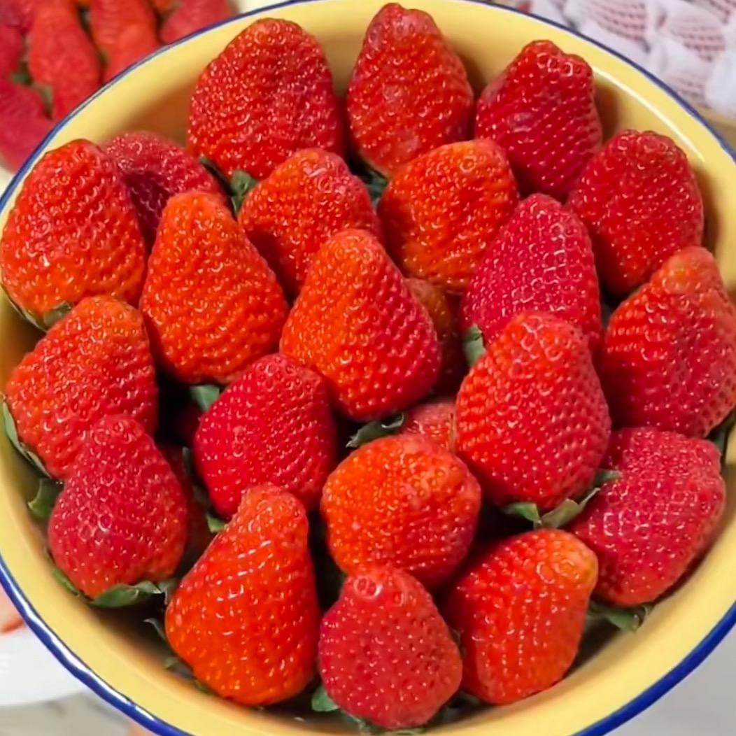 小包果园莓问题