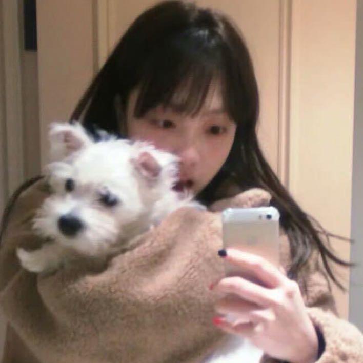 汤圆-