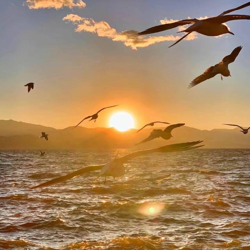 边缅收山货娜娜