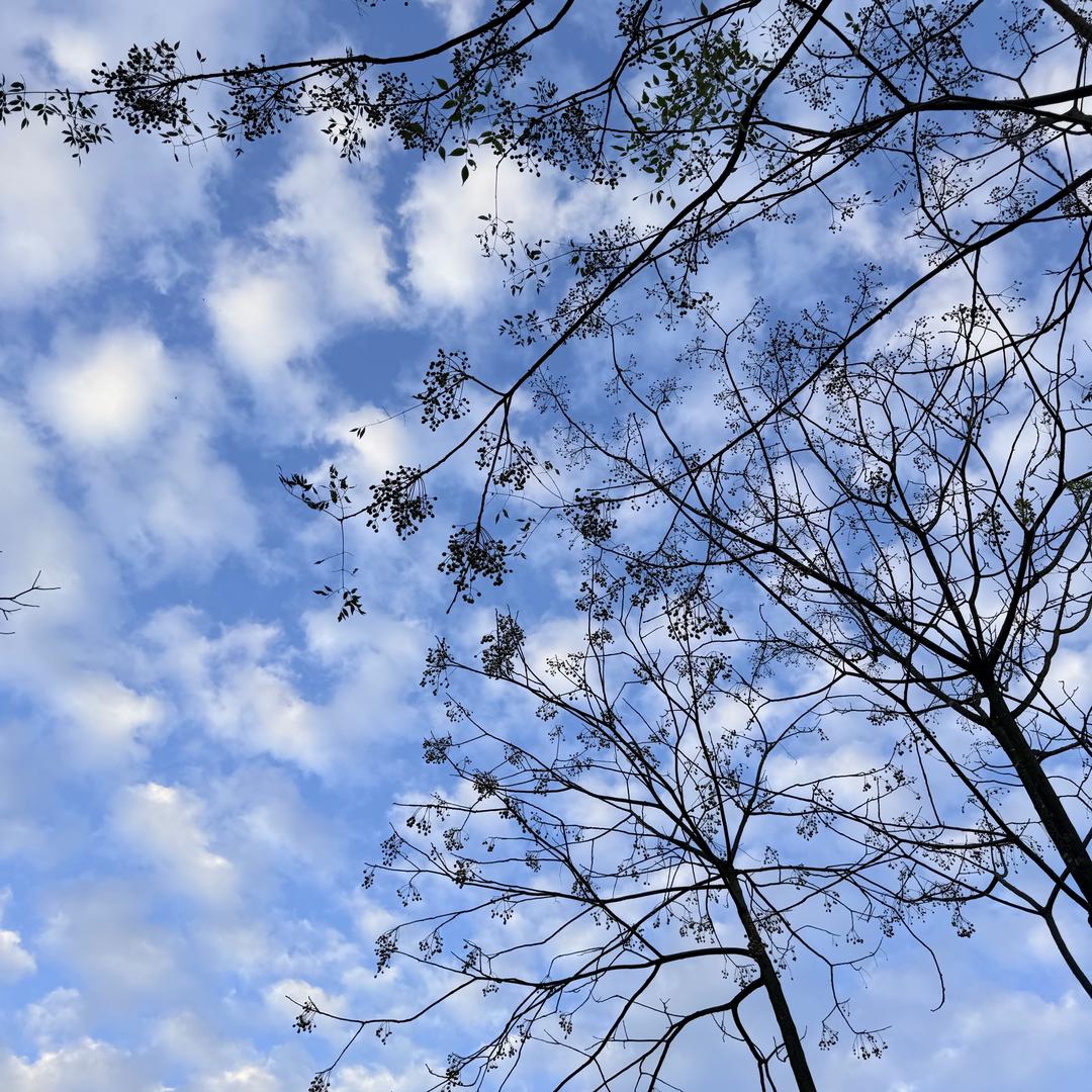 财神爷眷顾的宝贝