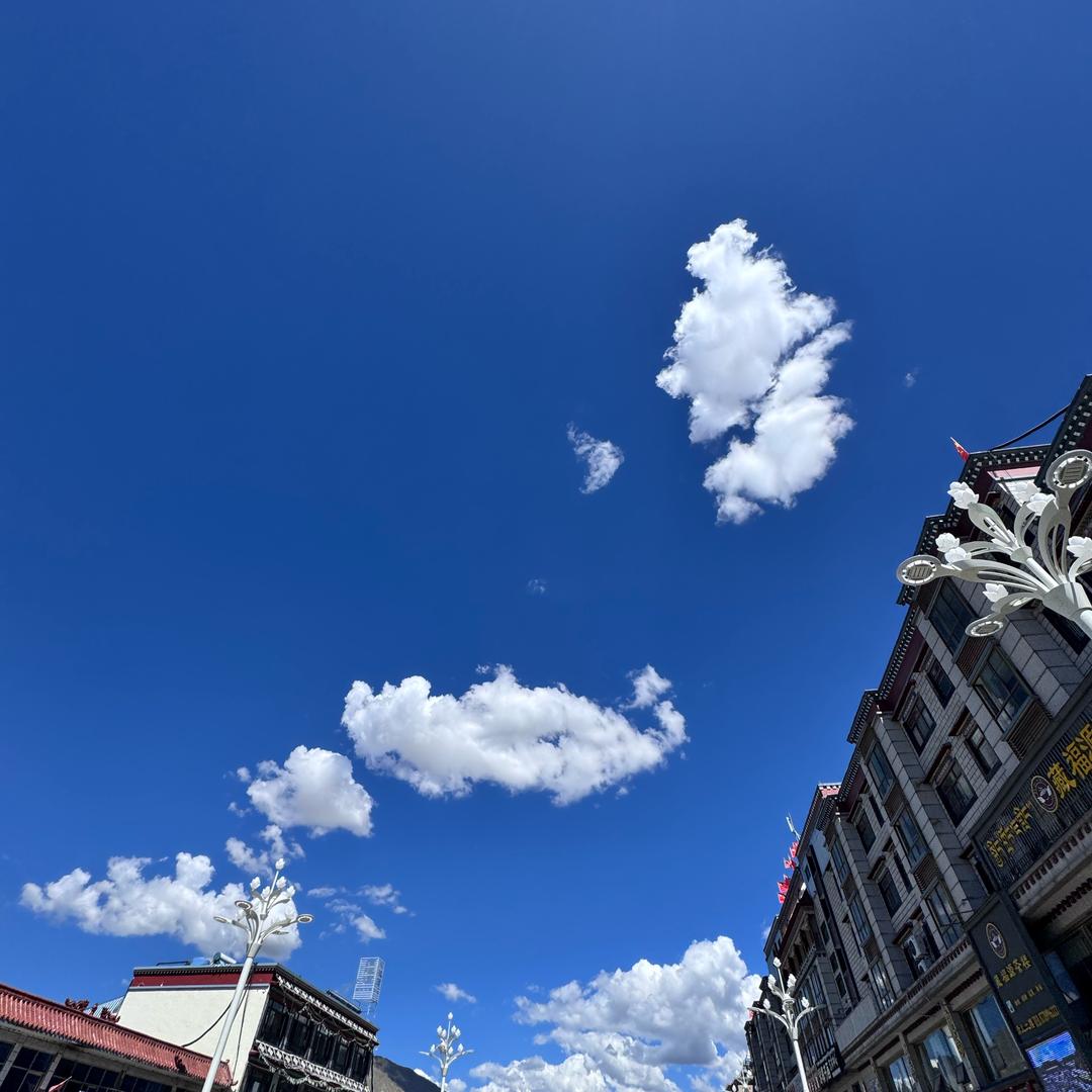 拉萨沁芯科技  [叶儿]