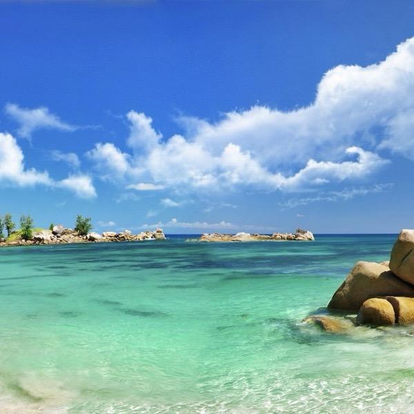 茹果去看风景