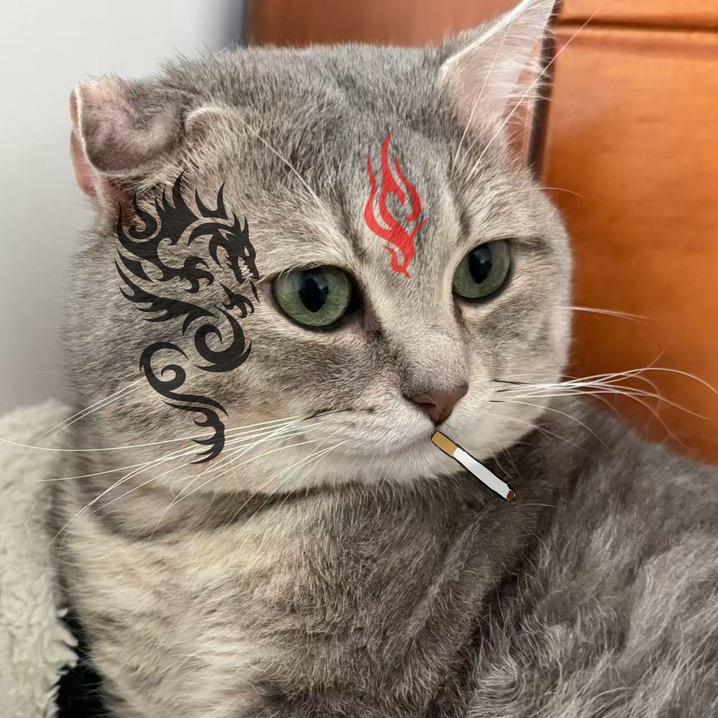 爱仔哥