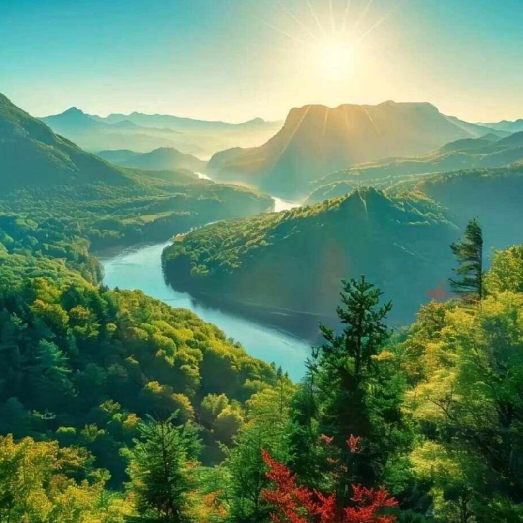 南晴🍀黄山泽木装饰