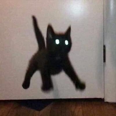 少年游