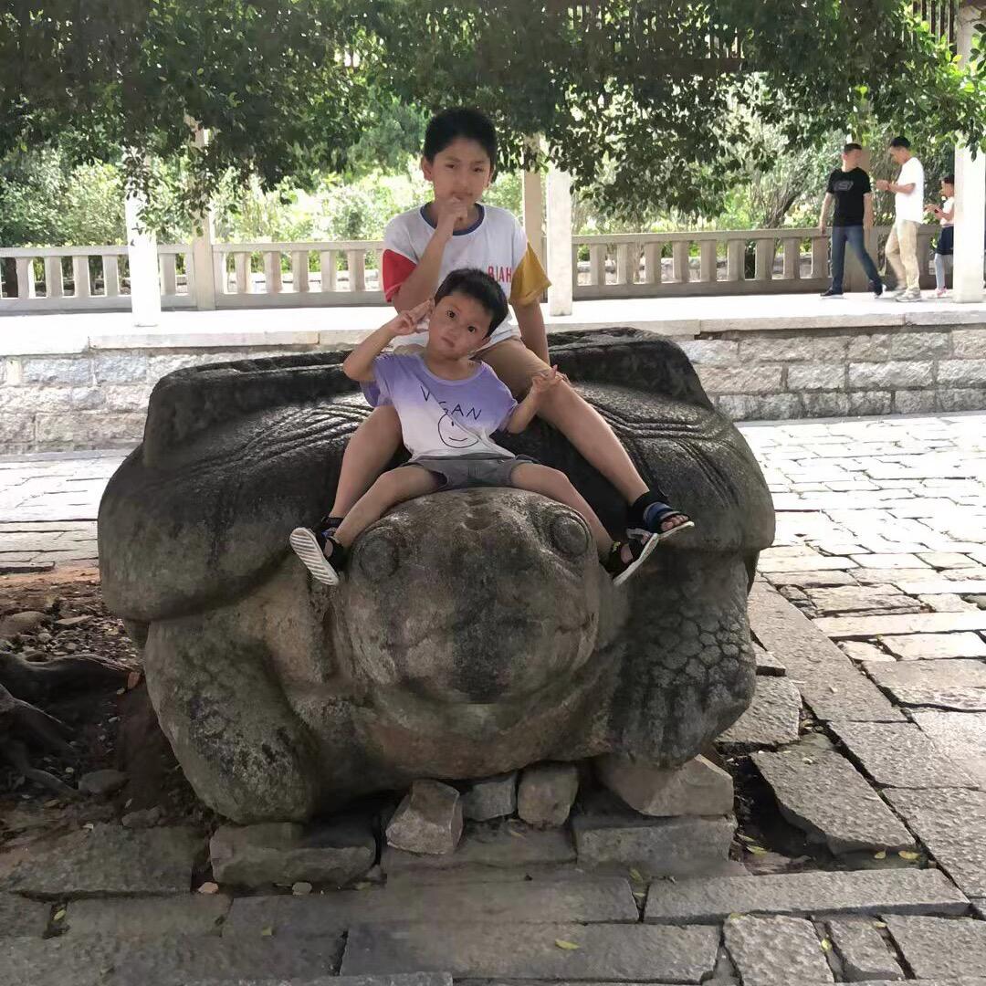执着的鱼