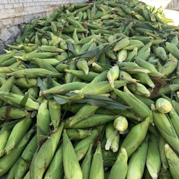 杭州千汇严选土特产2号