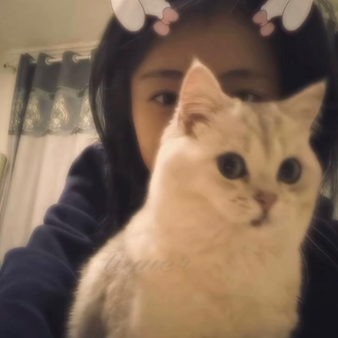 🍉🍉不嘻嘻꒦ິ^꒦ິ.