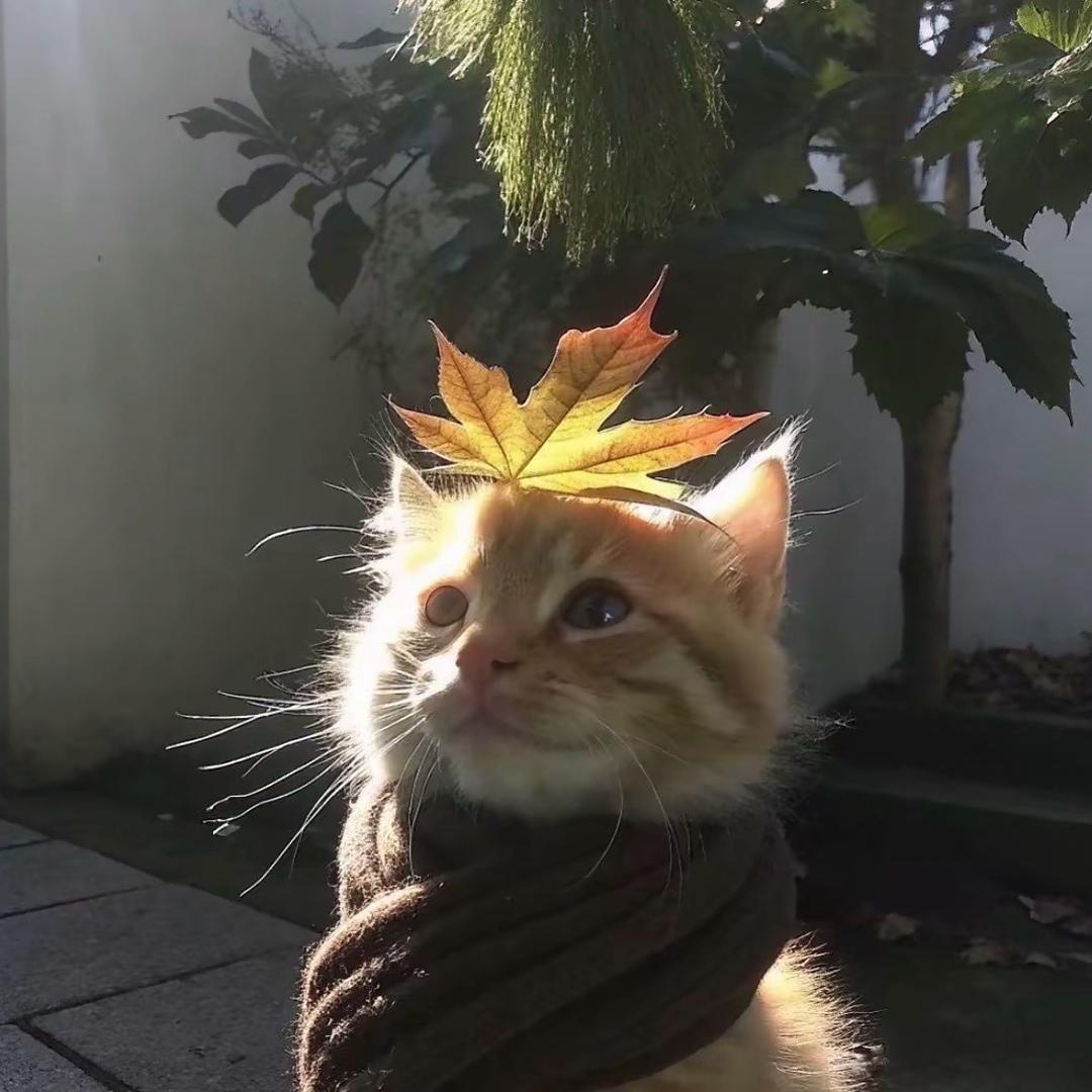 🌈A~W👩🏻‍❤️‍💋‍👩🏻