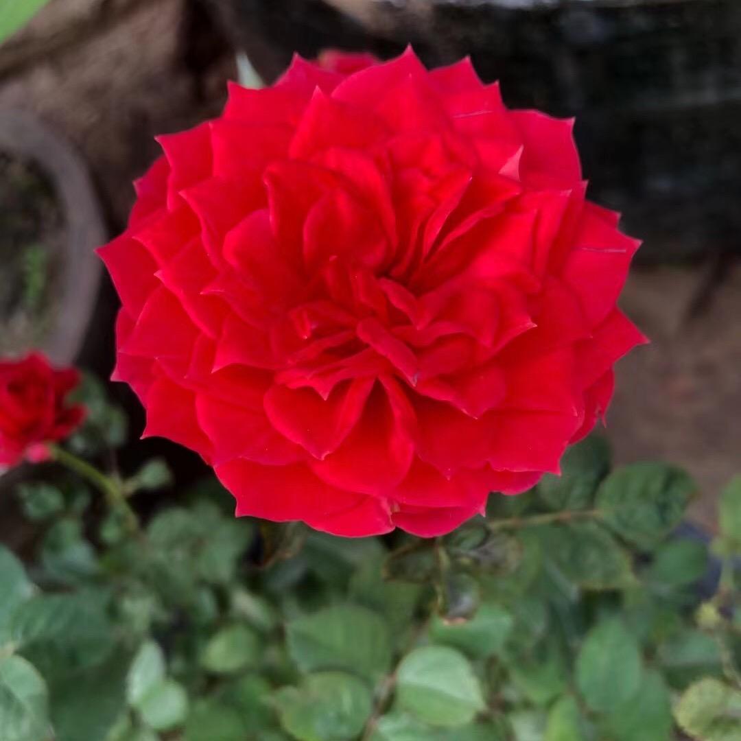 途胜汽车钣喷美容中心