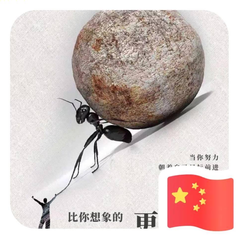 晨贺
