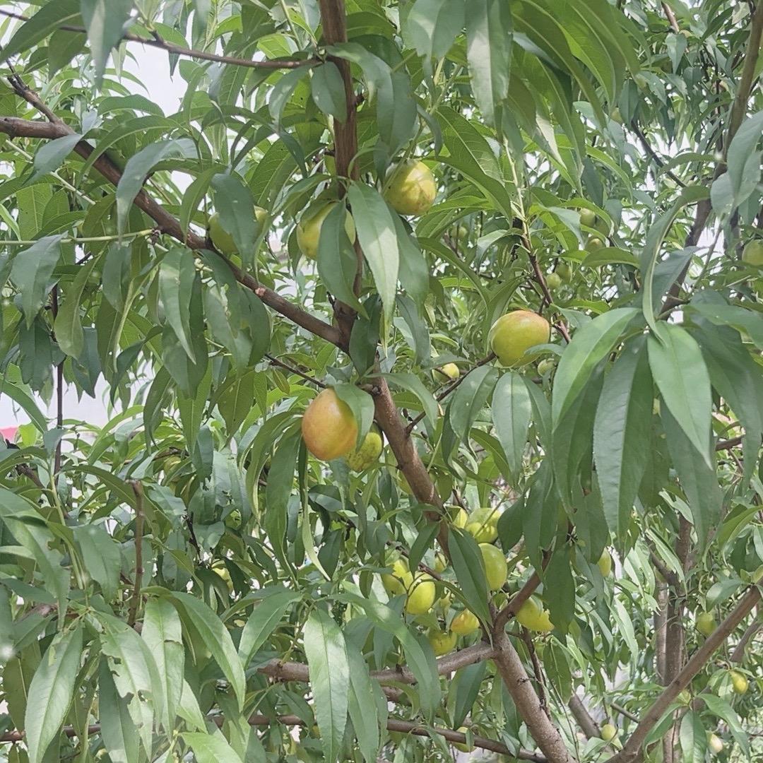 美美橱窗有好物