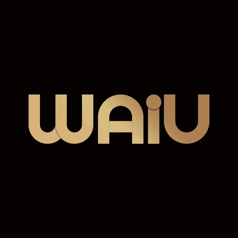 WAiU旗舰店