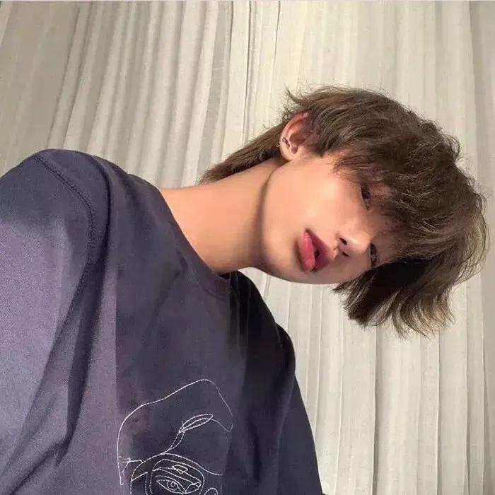 海棠未眠