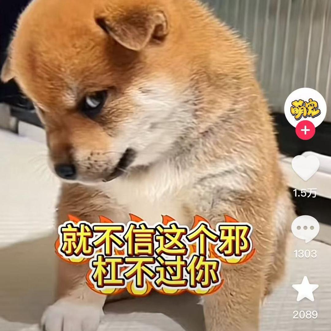 但行好事莫问前程