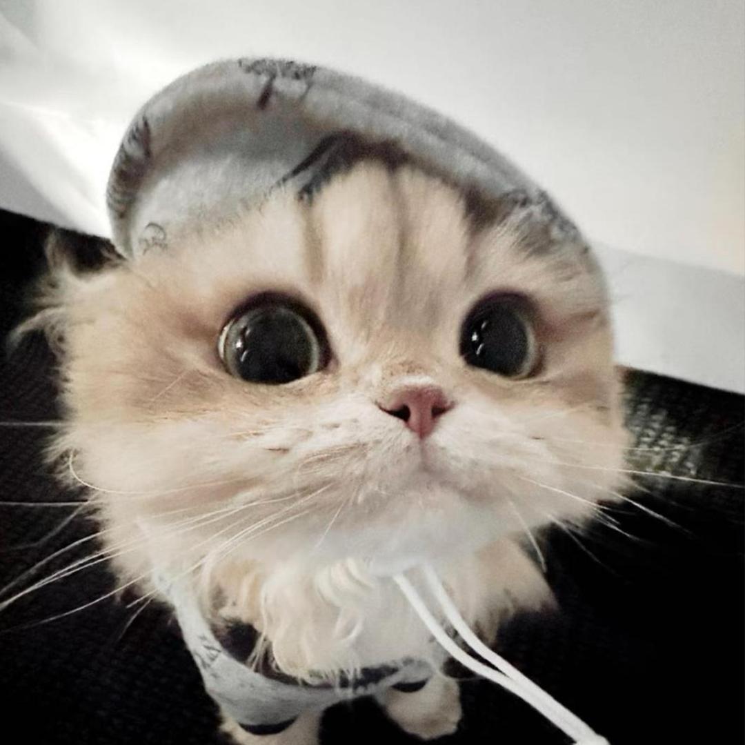 饿晕