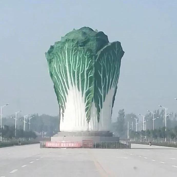 百财大哥