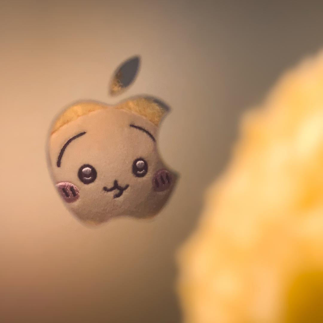 白糖山楂