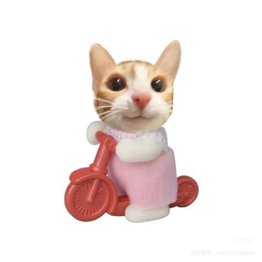 yy