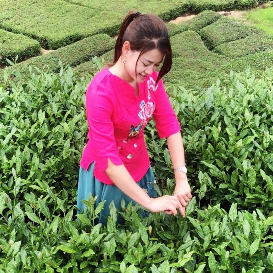 安溪县茶都煌荣茶行