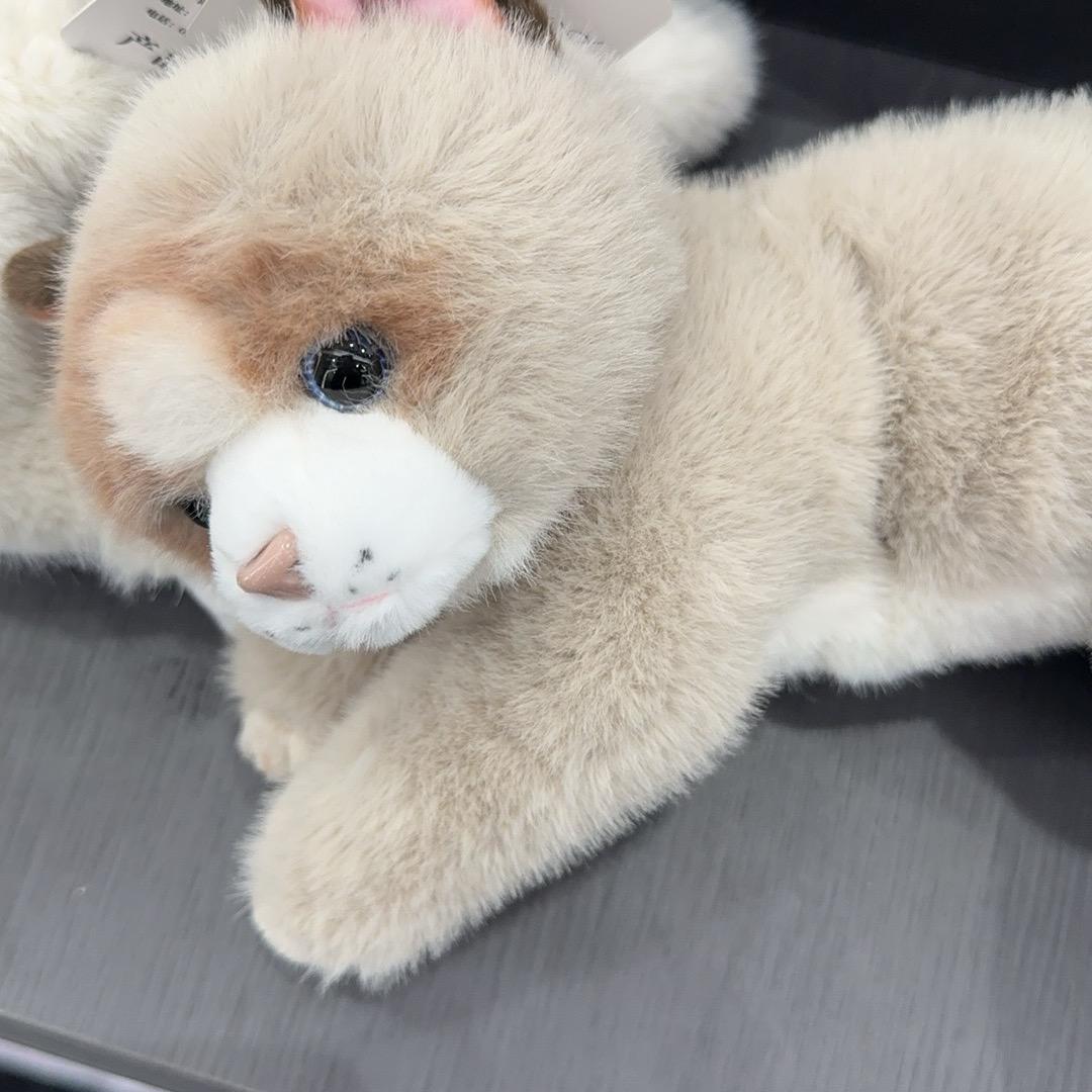 小时侯的时候就
