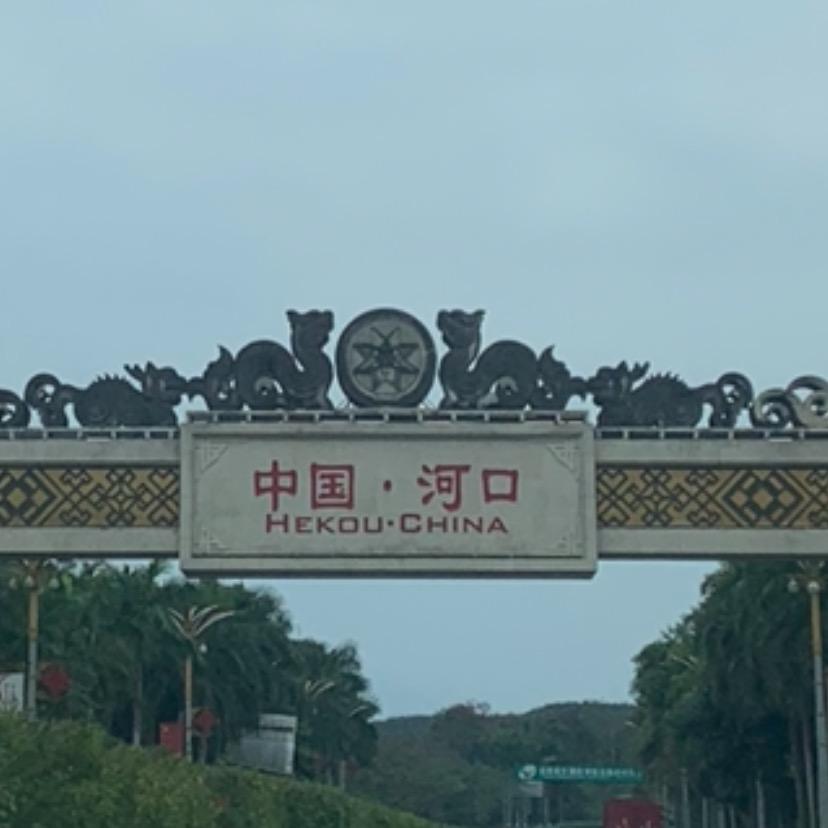胖胖