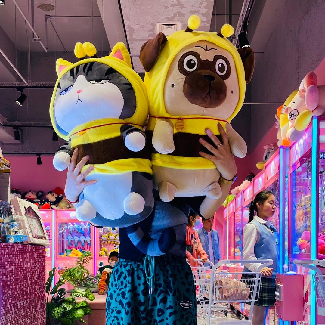 金华大师哥