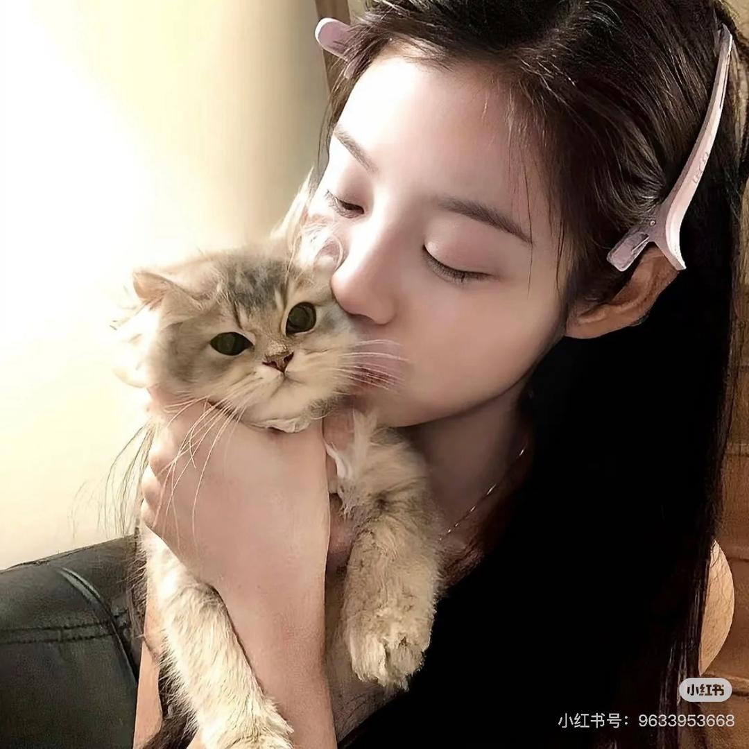 揣手手的猫🌙