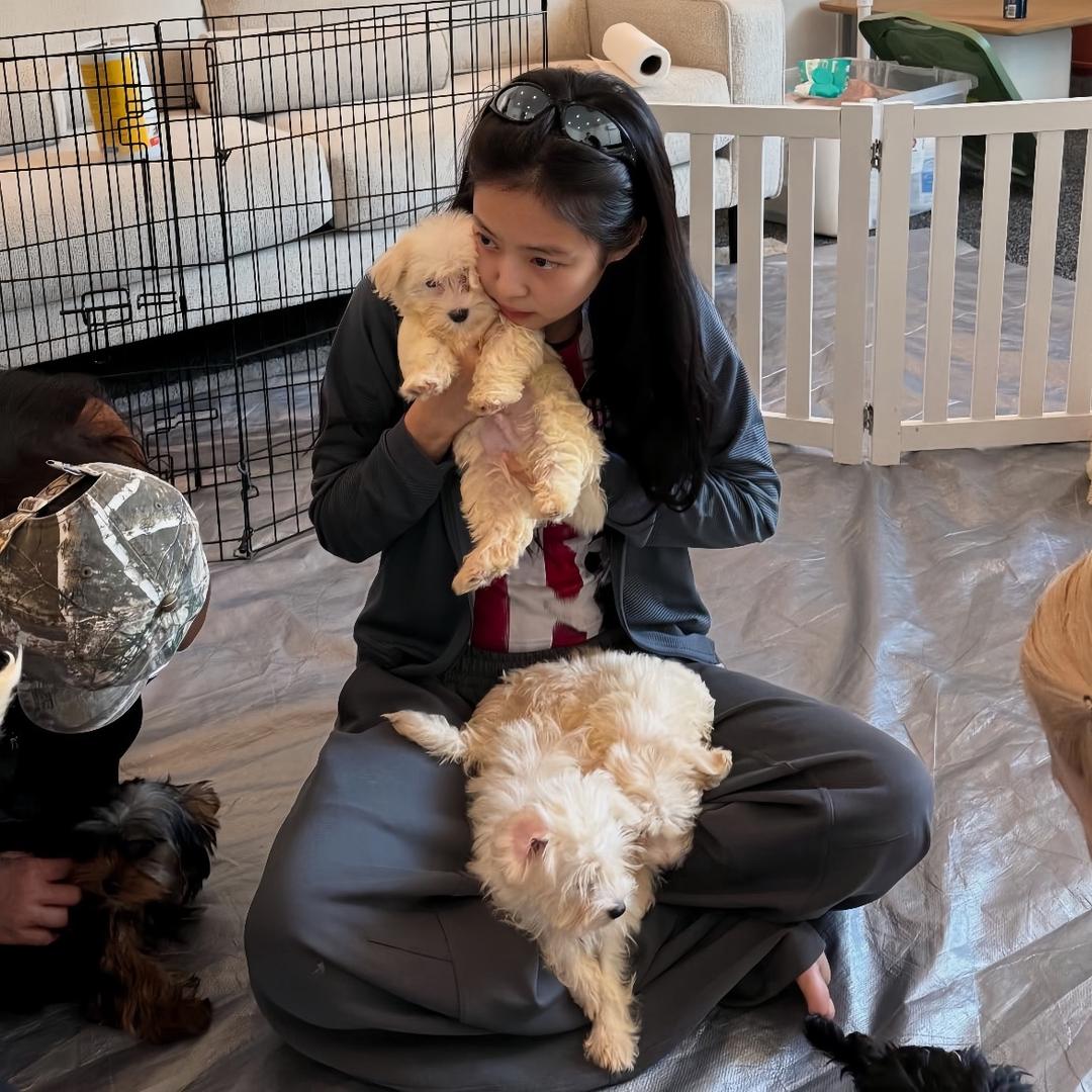 早点睡觉行不行