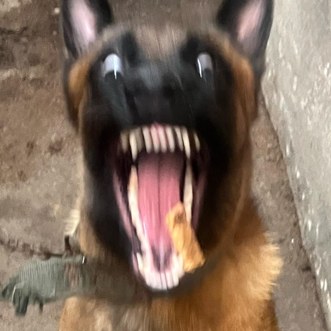 小风吹飞大石头