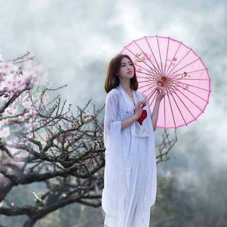 敬余生自由《请勿连赞》